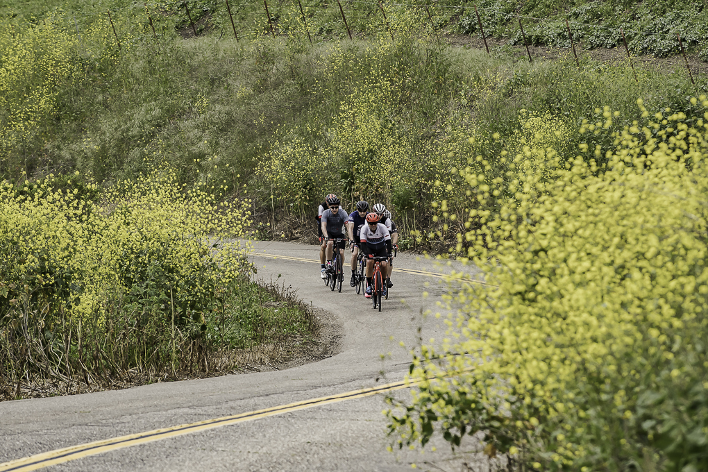 Santa Ynez Cycling